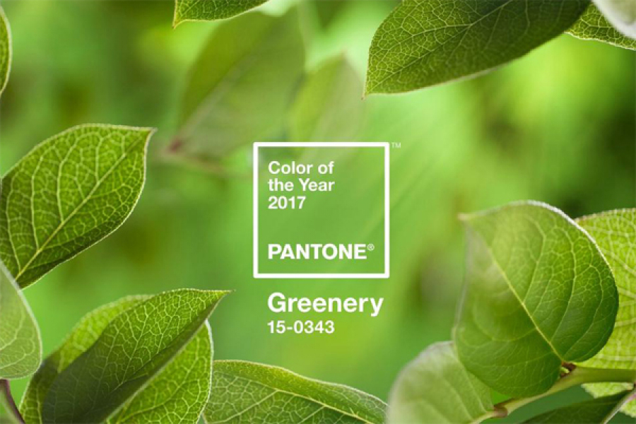 Greenery: как и с чем носить главный цвет 2017 года
