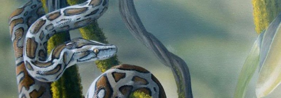 Лучший подарок на Новый Год: вышел Python 3.6! &mdash; и вот что нового в первом релизе за год с примерами