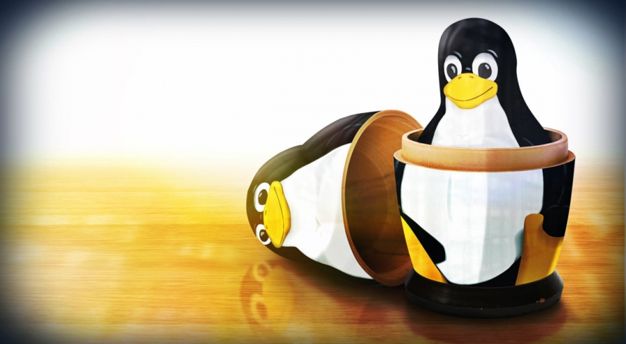 Zece lucruri mai puțin știute despre Linux